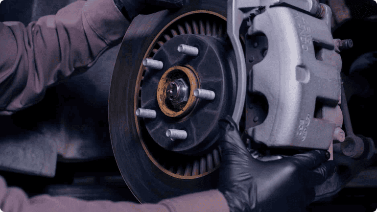 Dịch vụ chăm sóc nội ngoại thất